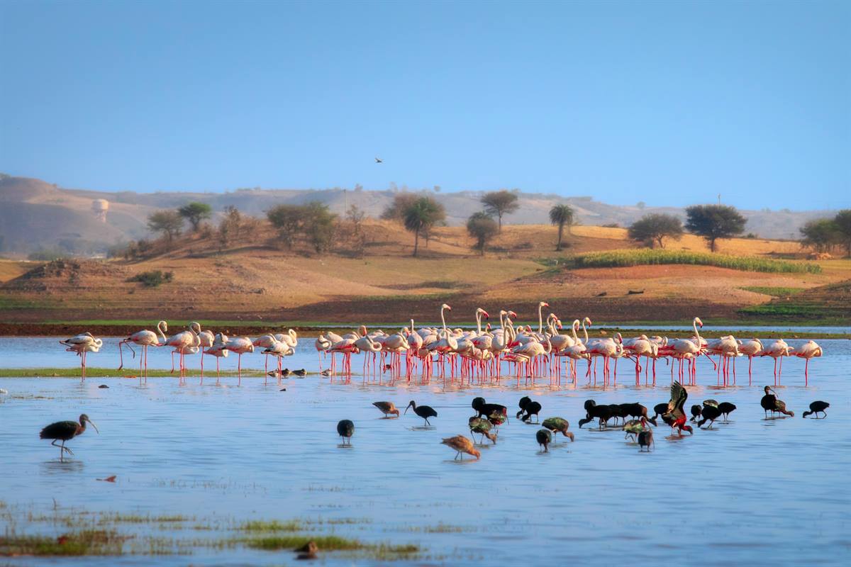 Lush southern Rajasthan landscape near Dungarpur