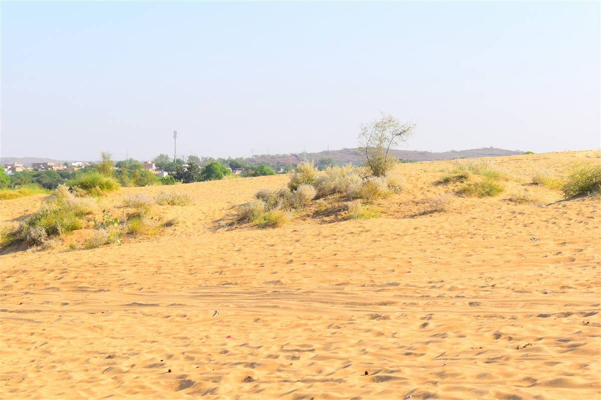 Ancient temples and sand dunes at Osian near Jodhpur
